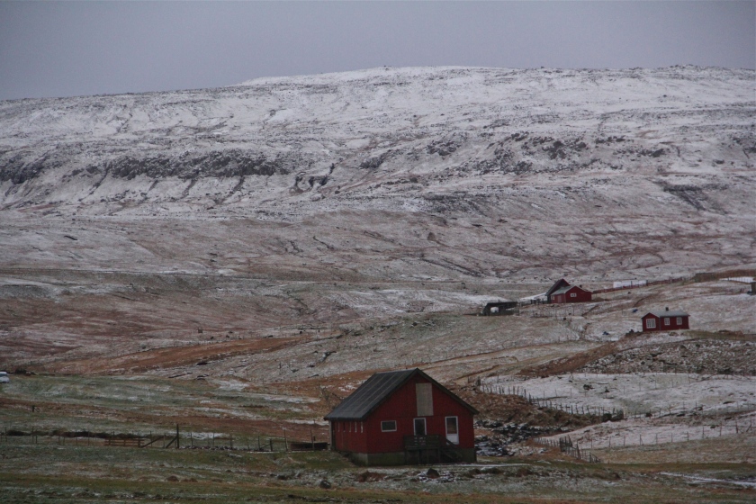 Torshavn Red Houses